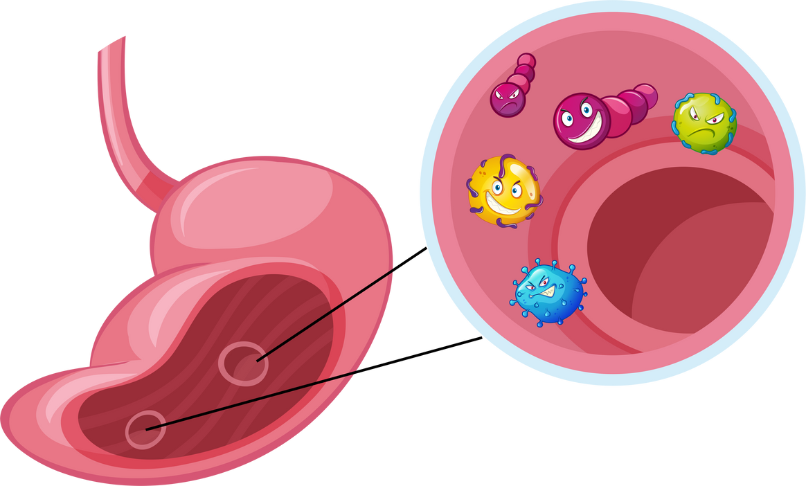 Many virus in human stomach